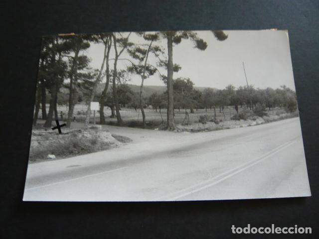 Fotografia antiga: PALMA DE MALLORCA PINAR ANTIGUA FOTOGRAFIA ORIGINAL 18 X 12 CM