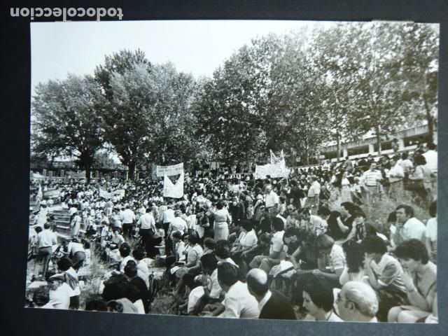 Fotografia antiga: MADRID CASA DE CAMPO REUNION AFECTADOS COLZA ANTIGUA FOTOGRAFIA ORIGINAL 13 X 18 CM