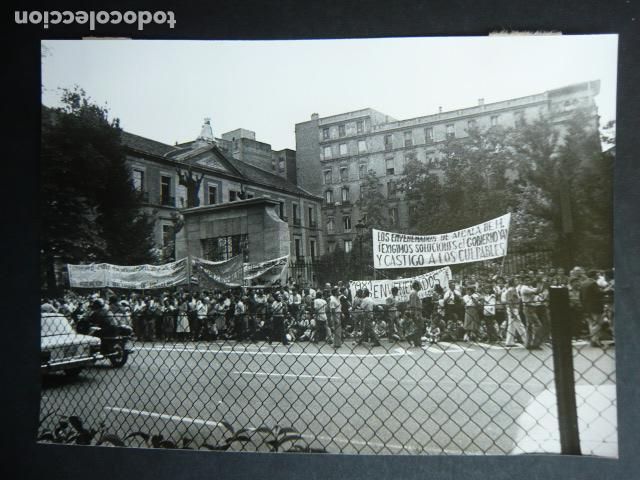 Fotograf&iacute;a antigua: MADRID CASA DE CAMPO REUNION AFECTADOS COLZA ANTIGUA FOTOGRAFIA ORIGINAL 13 X 18 CM