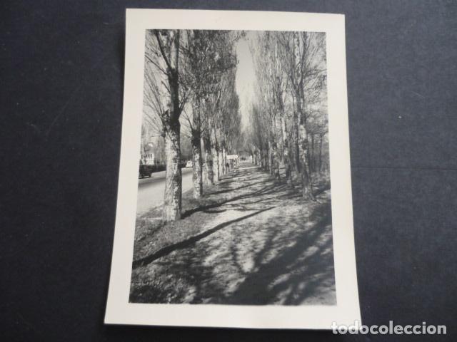 Fotografia antiga: MADRID MONCLOA CIUDAD UNIVERSITARIA PASEO DE LOS CHOPOS ANTIGUA FOTOGRAFIA 8 X 11,5 CM