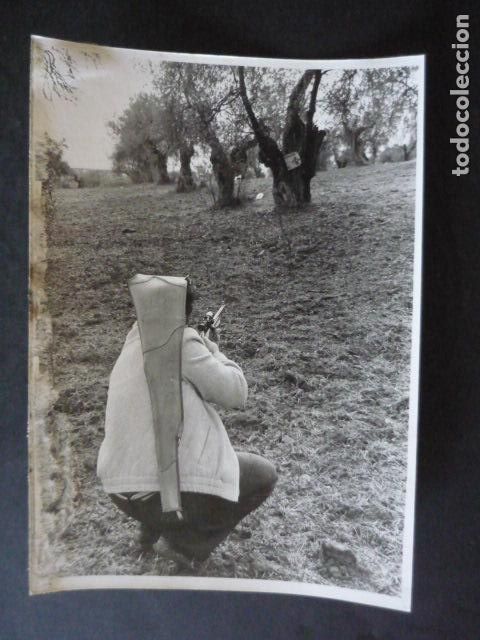 Fotograf&iacute;a antigua: ALJARAFE SEVILLA APARICION DE LA VIRGEN DEL ROCIO ANTIGUA FOTOGRAFIA ORIGINAL 18 X 12 CM