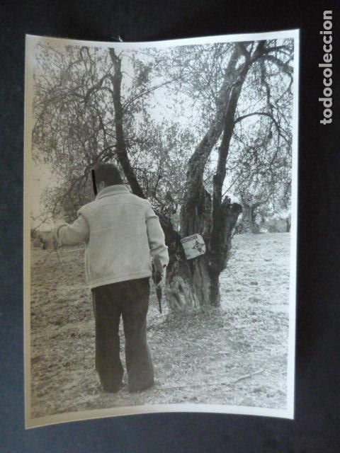 Antique Photography: ALJARAFE SEVILLA APARICION DE LA VIRGEN DEL ROCIO ANTIGUA FOTOGRAFIA ORIGINAL 18 X 12 CM