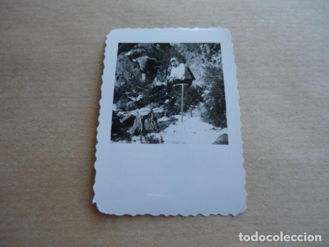 Fotograf&iacute;a antigua: NAVACERRADA MADRID BOSQUE DE PINOS MUERTOS FOTOGRAF&Iacute;A ANTIGUA 4 X 5 CM