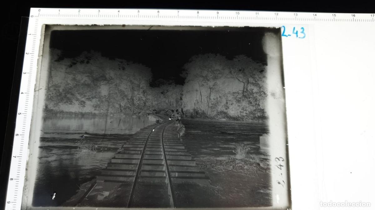 Antique Photography: CONGO BELGA BELGE. FOTOGRAFIA GELATINOBROMURO. VIDRIO. VIA DE TREN. CHEMIN DE FER RAILWAY