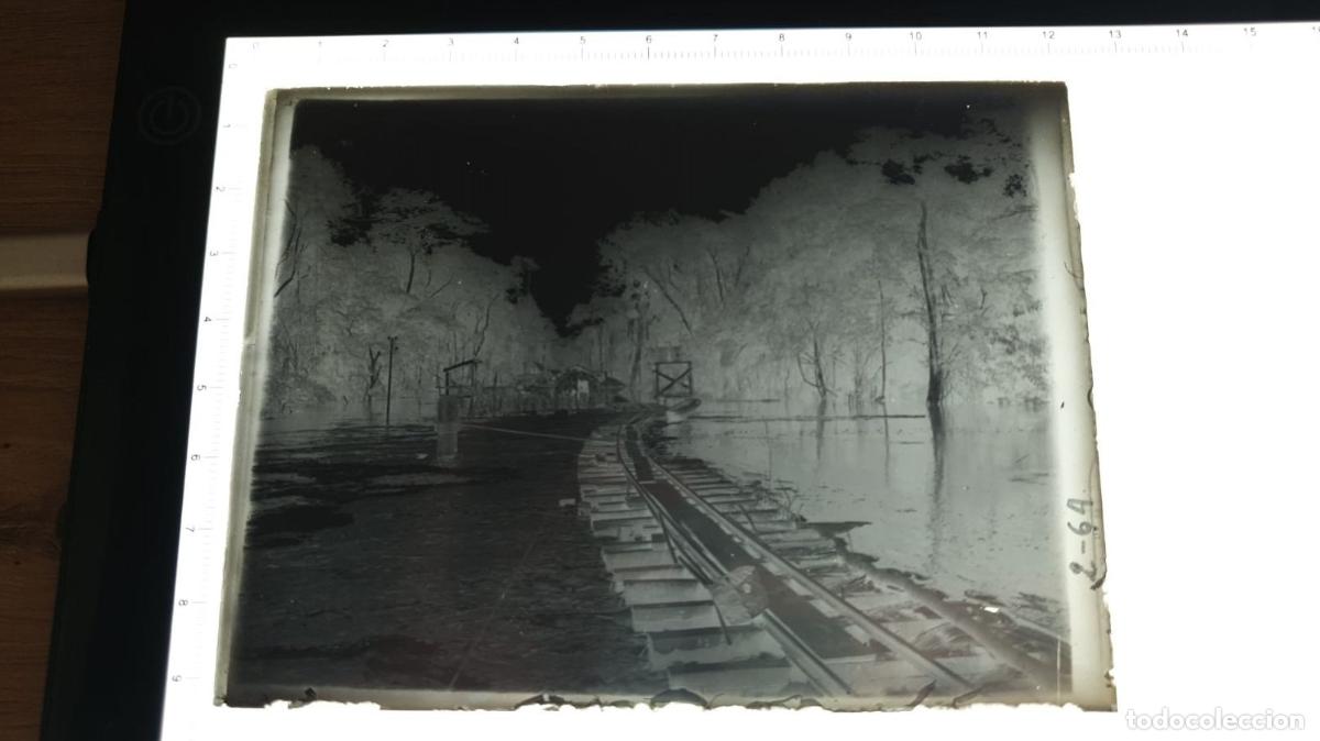 Fotograf&iacute;a antigua: CONGO BELGA BELGE. FOTOGRAFIA GELATINOBROMURO. VIDRIO. VIA DE TREN. CHEMIN DE FER RAILWAY. CONSTRUCC