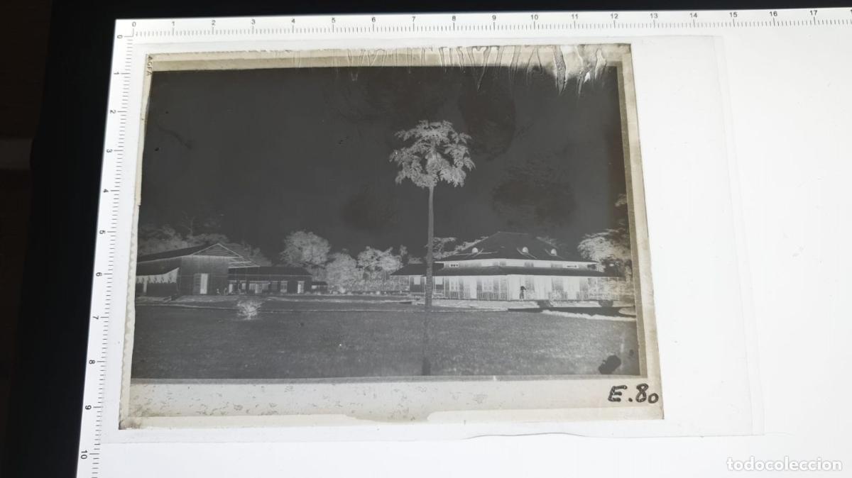 Fotograf&iacute;a antigua: CONGO BELGA BELGE. FOTOGRAFIA GELATINOBROMURO. VIDRIO. 1920 1930.