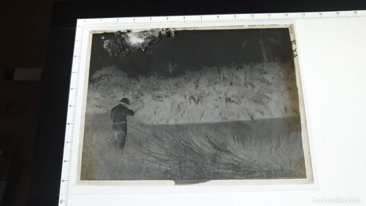Fotograf&iacute;a antigua: CONGO BELGA BELGE. FOTOGRAFIA GELATINOBROMURO. VIDRIO. 1920 1930.