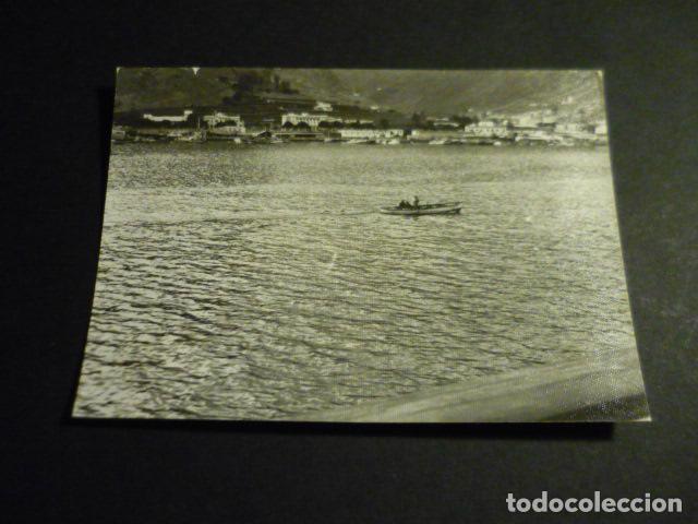 Fotografia antica: PUERTO DE LA CRUZ TENERIFE ANTIGUA FOTOGRAFIA 7,5 X 10,5 CM