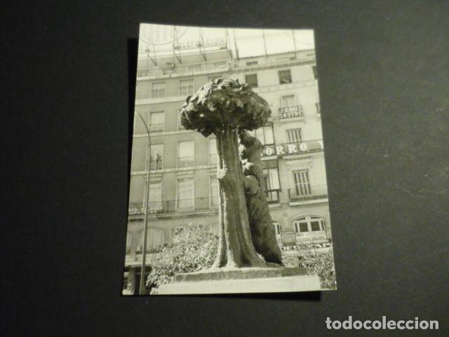 Fotografia antiga: MADRID EL OSO Y EL MADRO&Ntilde;O ANTIGUA FOTOGRAFIA 8 X 12 CM