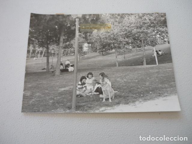 Alte Fotografie: MADRID PARQUE ANTIGUA FOTOGRAFIA ORIGINAL 18 X 13 CM