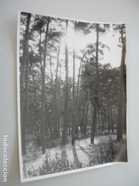 Fotografia antiga: VALSAIN SIERRA DE GUADARRAMA SEGOVIA MADRID ANTIGUA FOTOGRAFIA ORIGINAL 18 X 24 CM