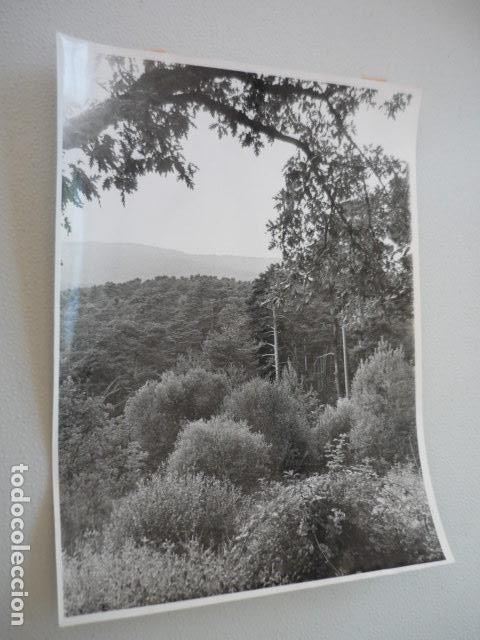 Alte Fotografie: VALSAIN SIERRA DE GUADARRAMA SEGOVIA MADRID ANTIGUA FOTOGRAFIA ORIGINAL 18 X 24 CM
