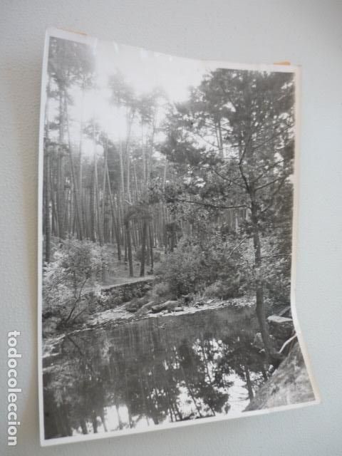 Fotograf&iacute;a antigua: VALSAIN SIERRA DE GUADARRAMA SEGOVIA MADRID ANTIGUA FOTOGRAFIA ORIGINAL 18 X 24 CM