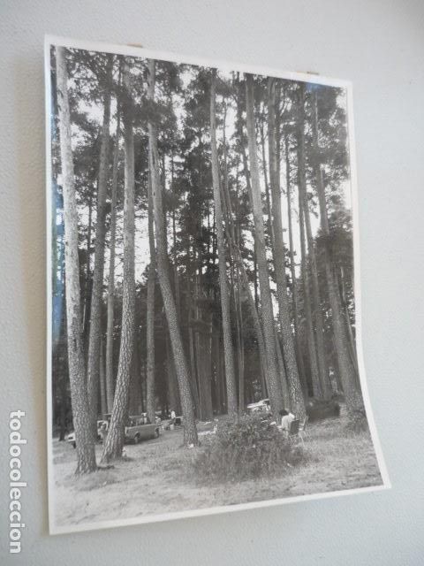 Antique Photography: VALSAIN SIERRA DE GUADARRAMA SEGOVIA MADRID ANTIGUA FOTOGRAFIA ORIGINAL 18 X 24 CM