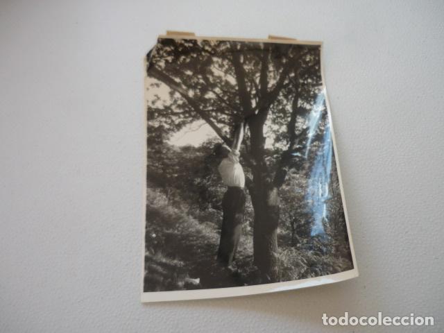 Alte Fotografie: BILBAO PAISAJE ANTIGUA FOTOGRAFIA ORIGINAL 18 X 12 CM