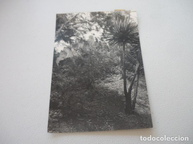 Fotograf&iacute;a antigua: MONTSERRAT BARCELONA EL BOSQUE ANTIGUA FOTOGRAFIA ORIGINAL 18 X 12 CM