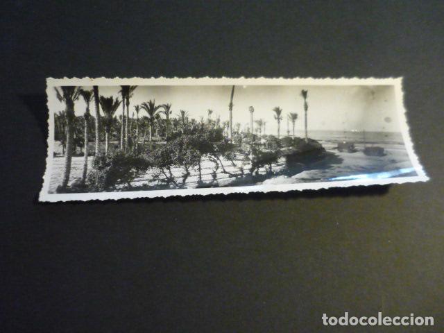 Antique Photography: ALICANTE ANTIGUO PALMERAL JUNTO A BABEL FOTOGRAFIA PANORAMICA A&Ntilde;OS 20 6 X 18 CM