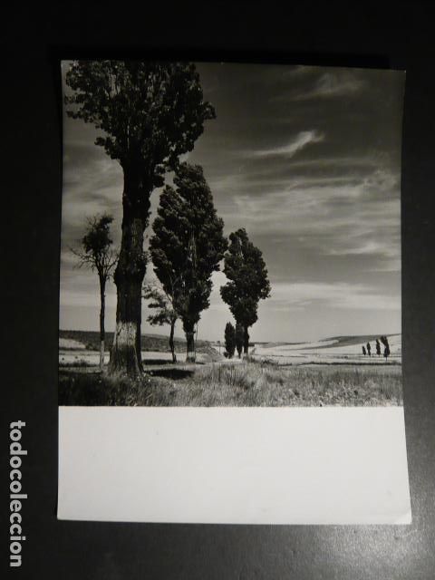 Alte Fotografie: F. CATAL&Aacute; ROCA FOTOGRAFIA CON SELLO HUMEDO CARRION DE LOS CONDES PALENCIA CAMINO JACOBEO 18,5 X 24 C