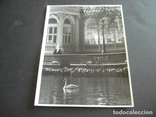 Alte Fotografie: MADRID RETIRO PALACIO DE CRISTAL ANTIGUA FOTOGRAFIA 18 X 24 CM