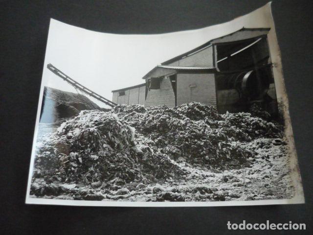 Antique Photography: MADRID BASURERO ANTIGUA FOTOGRAFIA ORIGINAL 24 X 18 CM
