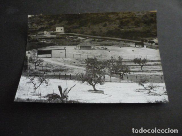 Alte Fotografie: VENDRELL TARRAGONA PARQUE ZOOLOGICO RIOLEON SAFARI ANTIGUA FOTOGRAFIA ORIGINAL 18 X 13 CM