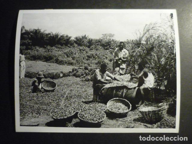 Fotograf&iacute;a antigua: NIGERIA ANTIGUA FOTOGRAFIA ORIGINAL 17 X 22 CM