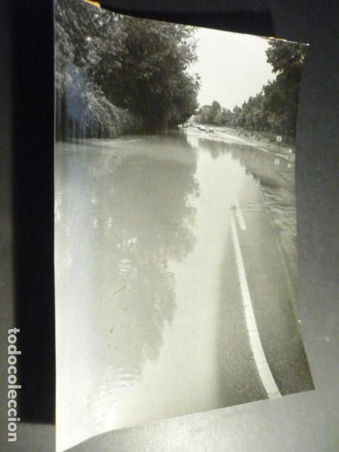 Fotografia antiga: EL PARDO MADRID INUNDACIONES ANTIGUA FOTOGRAFIA ORIGINAL 24 X 18 CM