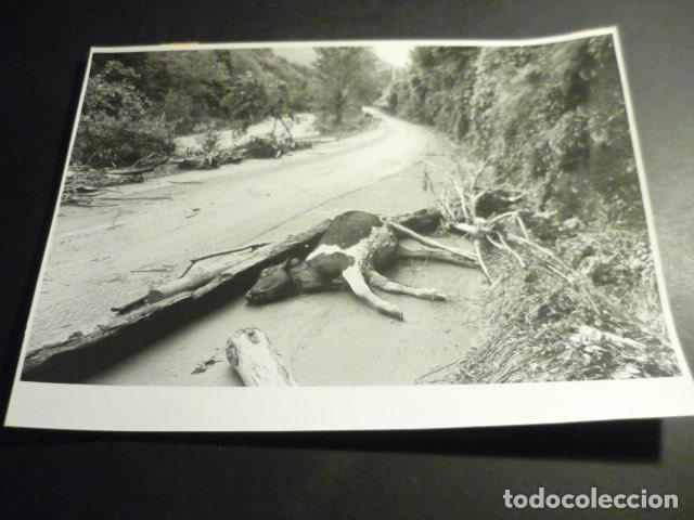 Alte Fotografie: MARRON CANTABRIA INUNDACIONES ANTIGUA FOTOGRAFIA ORIGINAL 24 X 18 CM