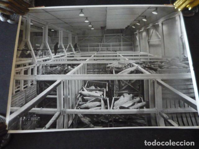 Fotografia antica: LAS PALMAS DE GRAN CANARIA NAVE FRIGORIFICA DEL PUERTO ANTIGUA FOTOGRAFIA ORIGINAL 24 X 18 CM