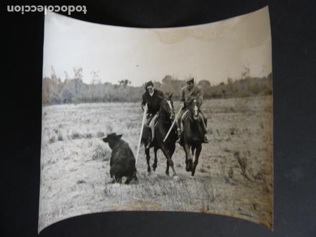 Antique Photography: SALAMANCA TIENTA DE RESES FINCA BERNALDO DE QUIROS ANTIGUA FOTOGRAFIA ORIGINAL 18 X 24 CM