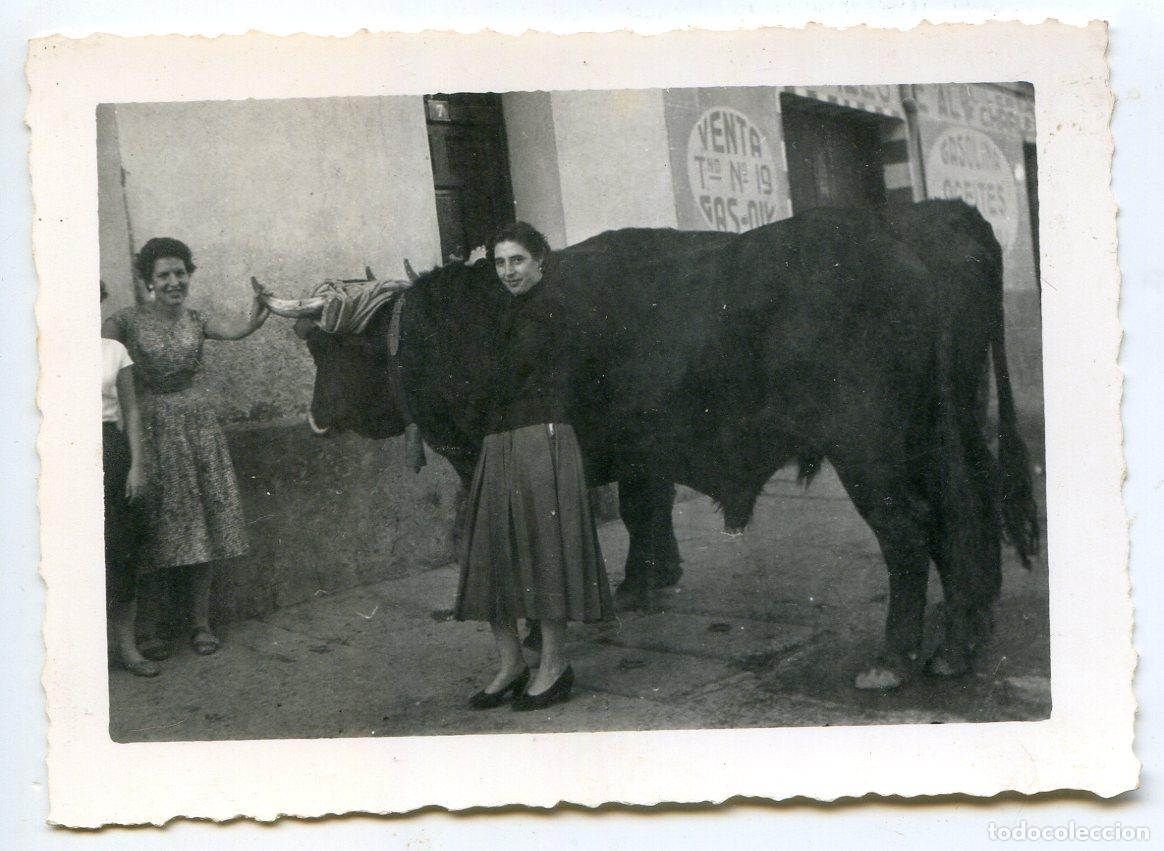 Fotograf&iacute;a antigua: Se&ntilde;oras con pareja de bueyes en calle del pueblo. Lugar a identificar, a&ntilde;os 50