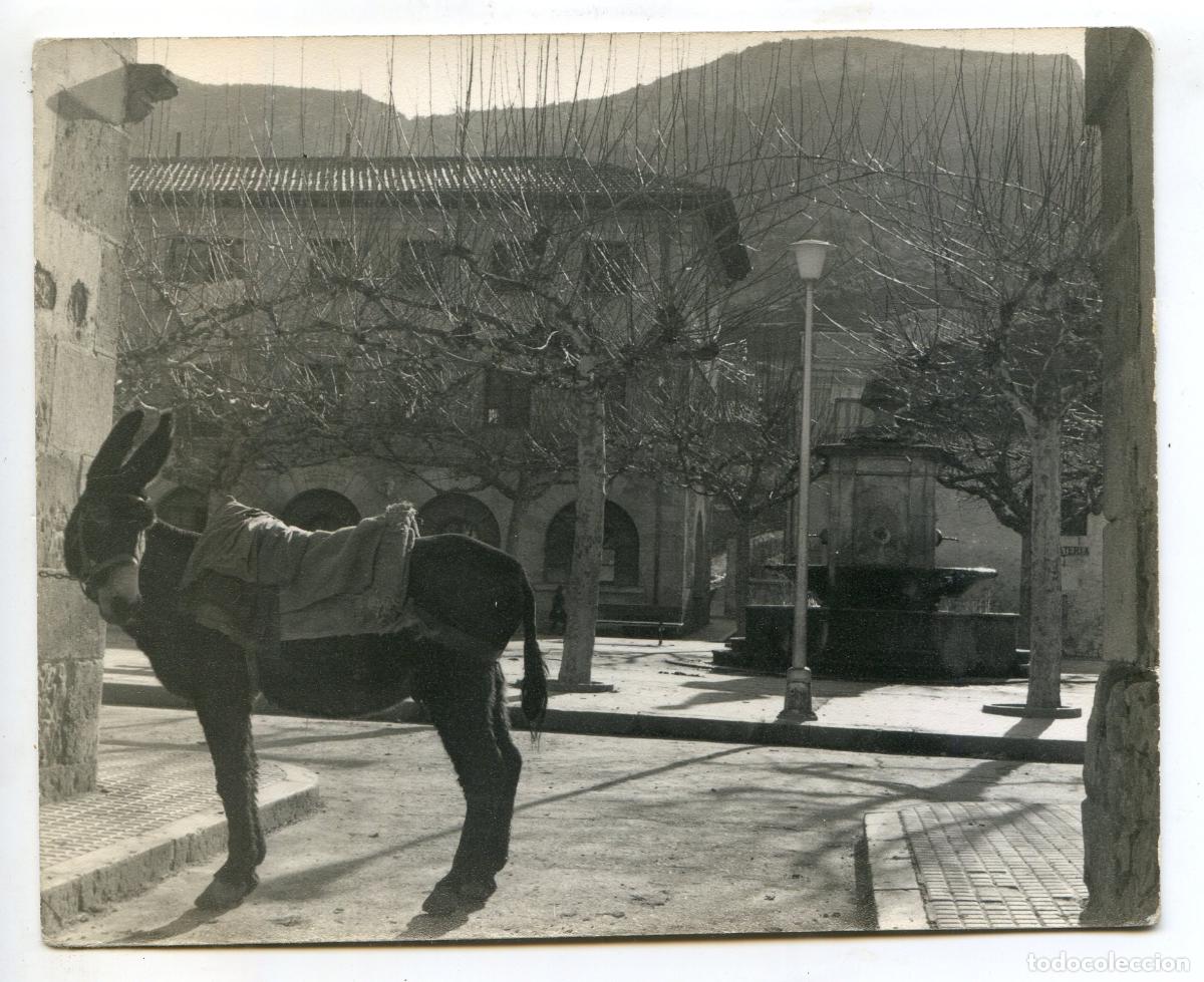 Fotograf&iacute;a antigua: Fotograf&iacute;a de O&ntilde;a, Burgos a&ntilde;os 50 o 60, plaza Padre Cereceda fuente y burro, fot&oacute;grafo a identificar