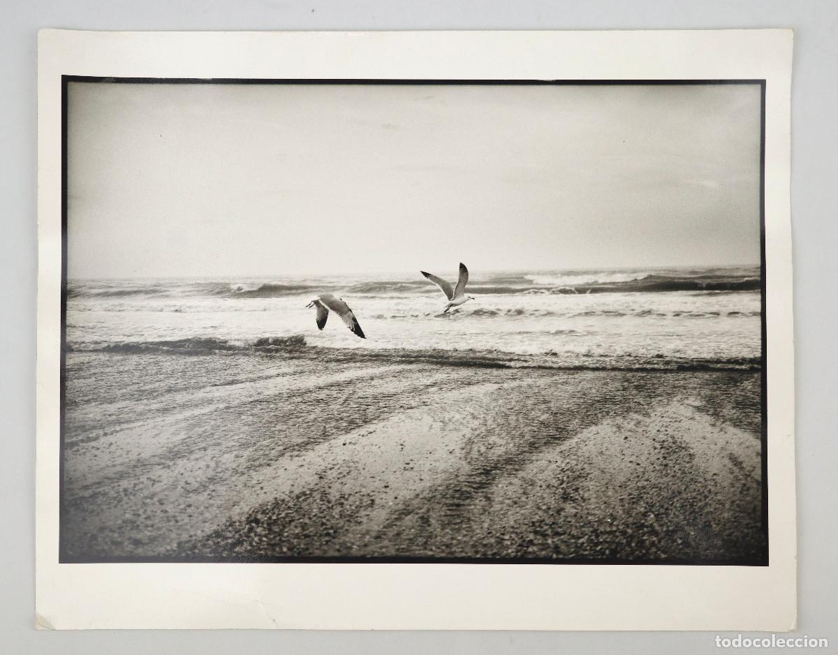 Antique Photography: Libertad, Lido de Venecia. Fotograf&iacute;a de Cristina Nu&ntilde;ez. A&ntilde;o 1998. 24x30cm.