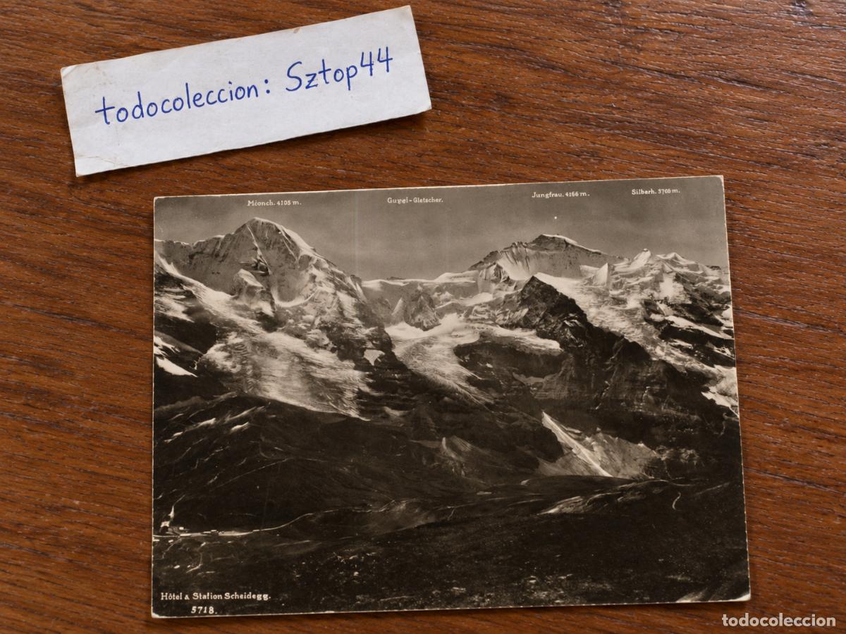 Fotograf&iacute;a antigua: Fotograf&iacute;a Antigua de Suiza - Panorama de los Alpes: M&ouml;nch, Jungfrau y Silberhorn desde Scheidegg -