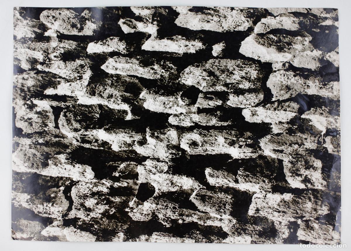 Fotograf&iacute;a antigua: Sin t&iacute;tulo. Fotograf&iacute;a de Wolfgang Ramsbott (1934-1991) K&ocirc;ln. ca 1960. 29x40cm.
