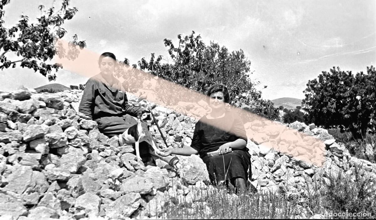 Fotograf&iacute;a antigua: Antiguo negativo de fotograf&iacute;a. Dos mujeres con un perro en el campo. A&ntilde;os 30