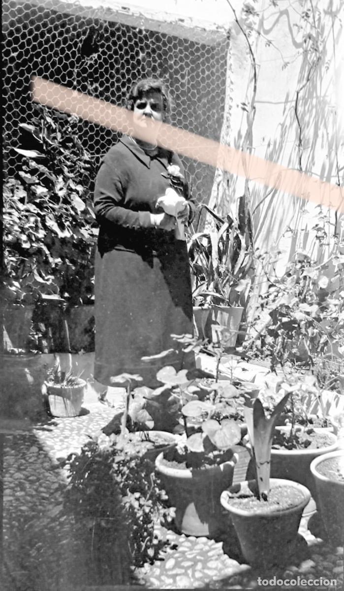Fotograf&iacute;a antigua: Antiguo negativo de fotograf&iacute;a. Mujer entre las macetas de su patio. A&ntilde;os 30