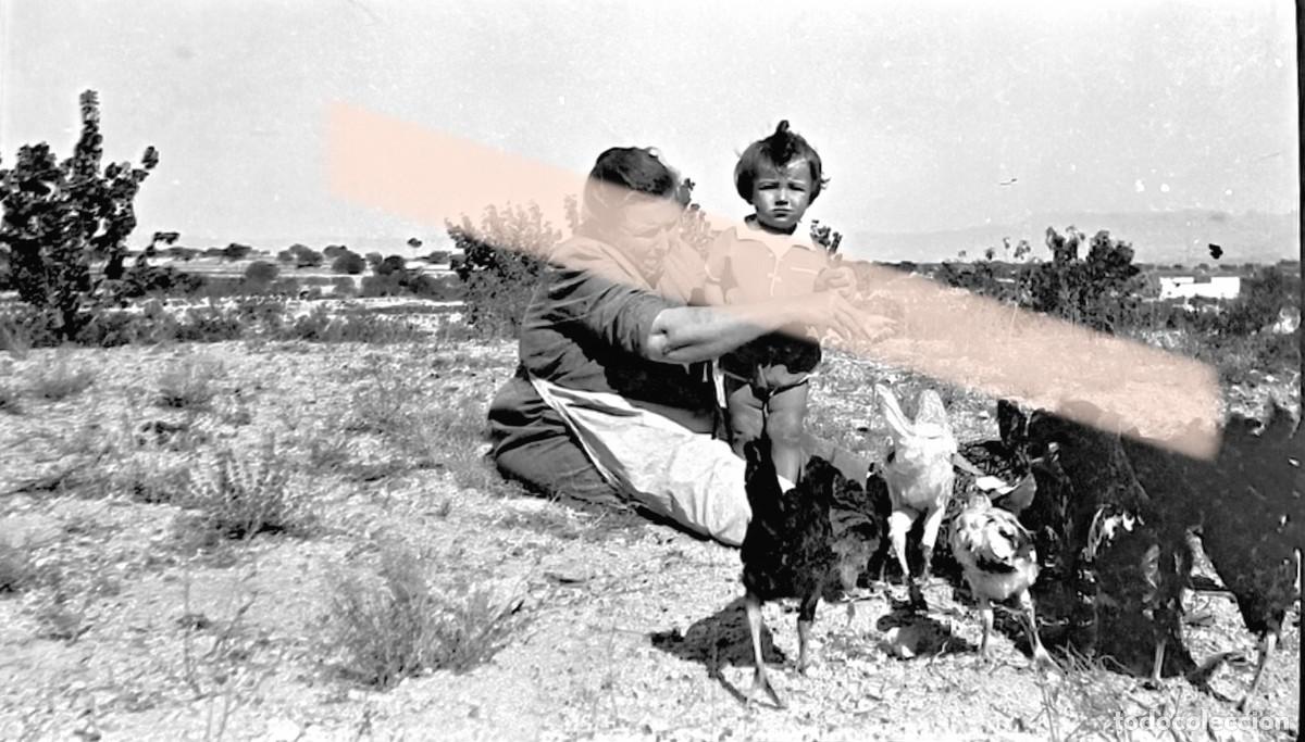 Fotograf&iacute;a antigua: Antiguo negativo de fotograf&iacute;a. Mujer con ni&ntilde;o rodeados de gallinas en el campo. A&ntilde;os 30