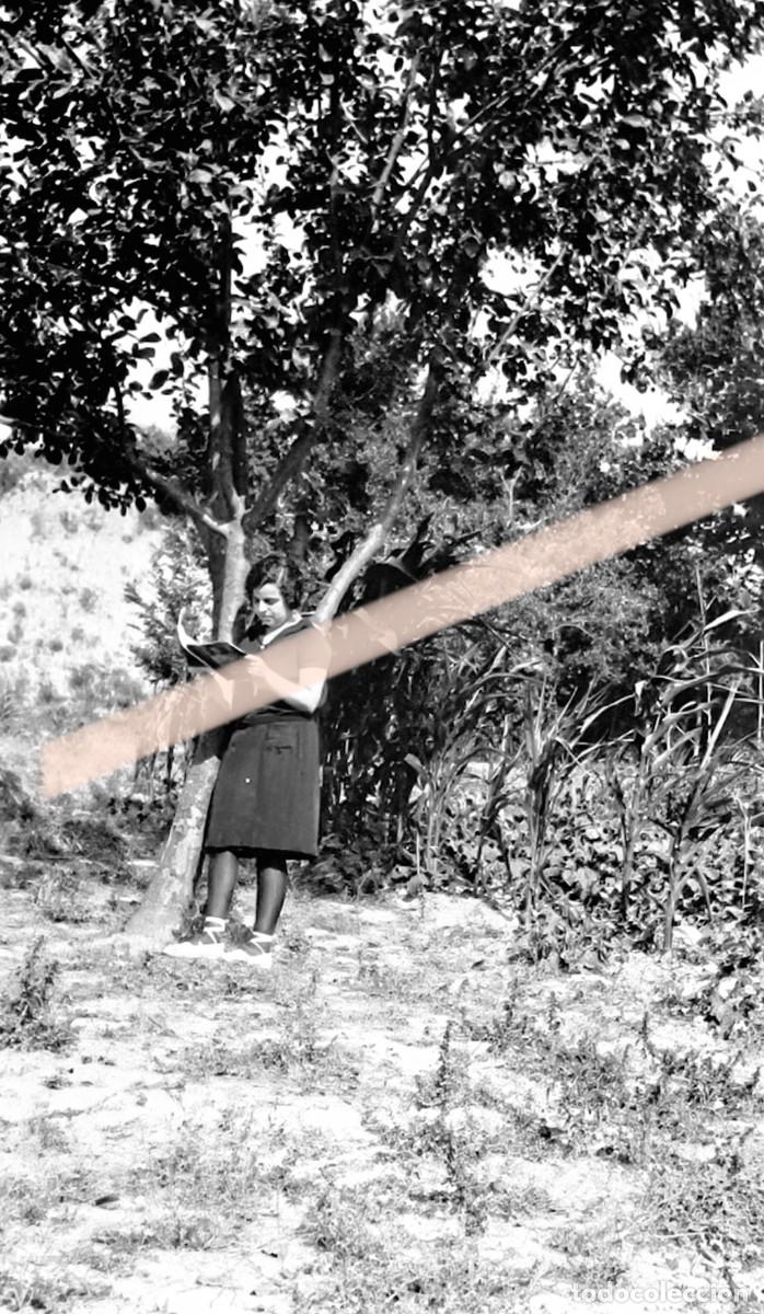 Fotograf&iacute;a antigua: Antigua fotograf&iacute;a. Joven leyendo bajo un &aacute;rbol. A&ntilde;os 30