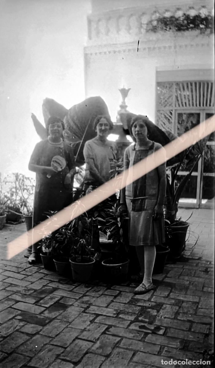 Fotograf&iacute;a antigua: Antigua fotograf&iacute;a. Tres mujeres posando entre macetas en un patio. A&ntilde;os 30