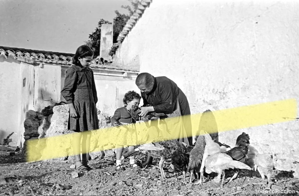 Fotograf&iacute;a antigua: Antiguo negativo de fotograf&iacute;a. Mujer y dos ni&ntilde;as dando de comer a las aves. A&ntilde;os 40