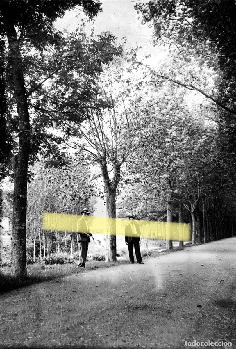 Fotograf&iacute;a antigua: Antiguo negativo de fotograf&iacute;a. Dos hombres en un paseo arbolado. Pamplona y alrededores. 1935