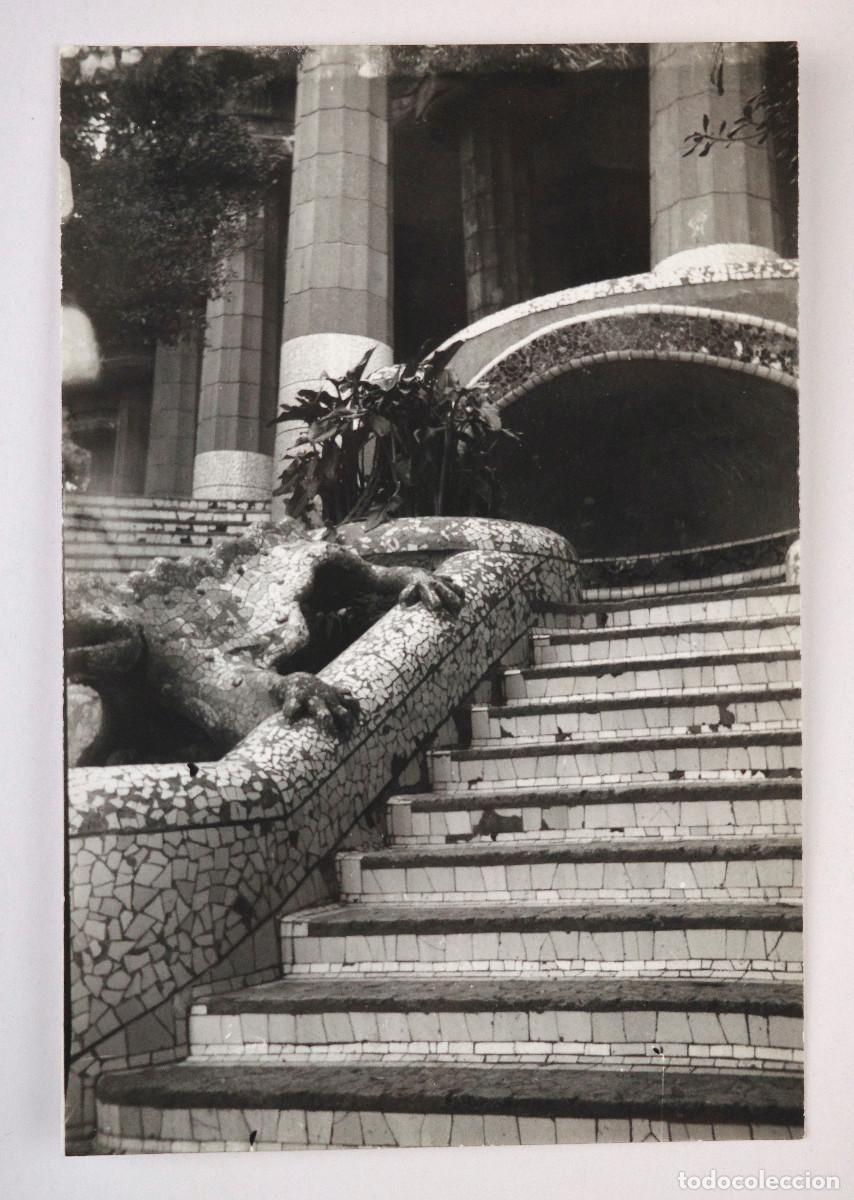 Fotograf&iacute;a antigua: PARC G&Uuml;ELL, EL DRAC. GAUD&Iacute;. 1950'S. 12x8cm.