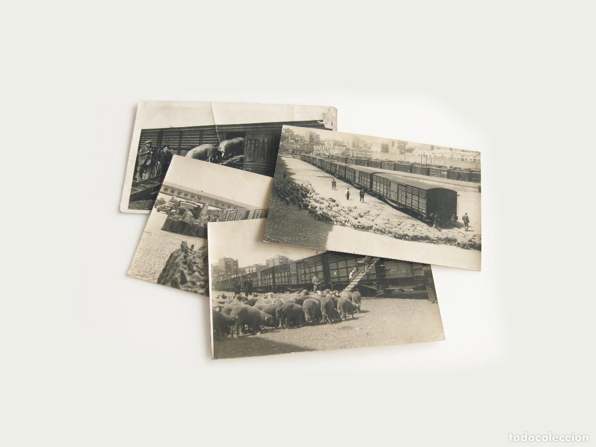 Fotograf&iacute;a antigua: 4 TARJETAS POSTALES DE TRANFESA. POSTAL PUBLICITARIA. FERIA NACIONAL DEL CAMPO DE MADRID 1948 Y 1950