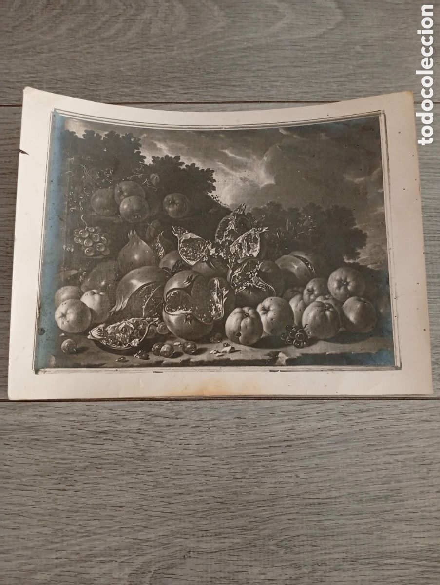 Fotograf&iacute;a antigua: Lote de 2 Fotos Antiguas de &Eacute;poca - Bodegones Barrocos del Museo del Prado - Archivo Ruiz Vernacci (