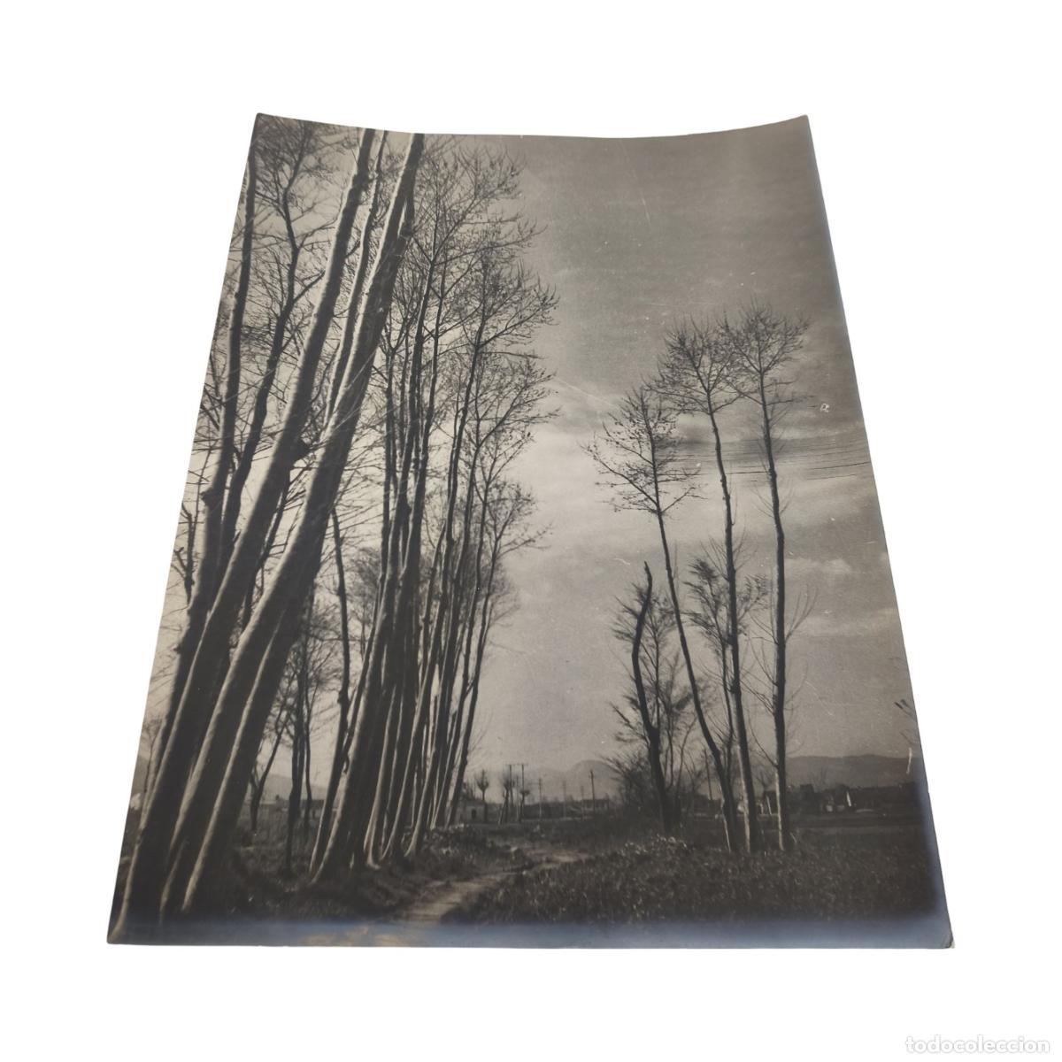 Alte Fotografie: Foto Antigua. Paisaje Rural Cerca de Pueblo. Arboleda y Camino. Gelatinobromuro. c. 1920. 37x28 cm
