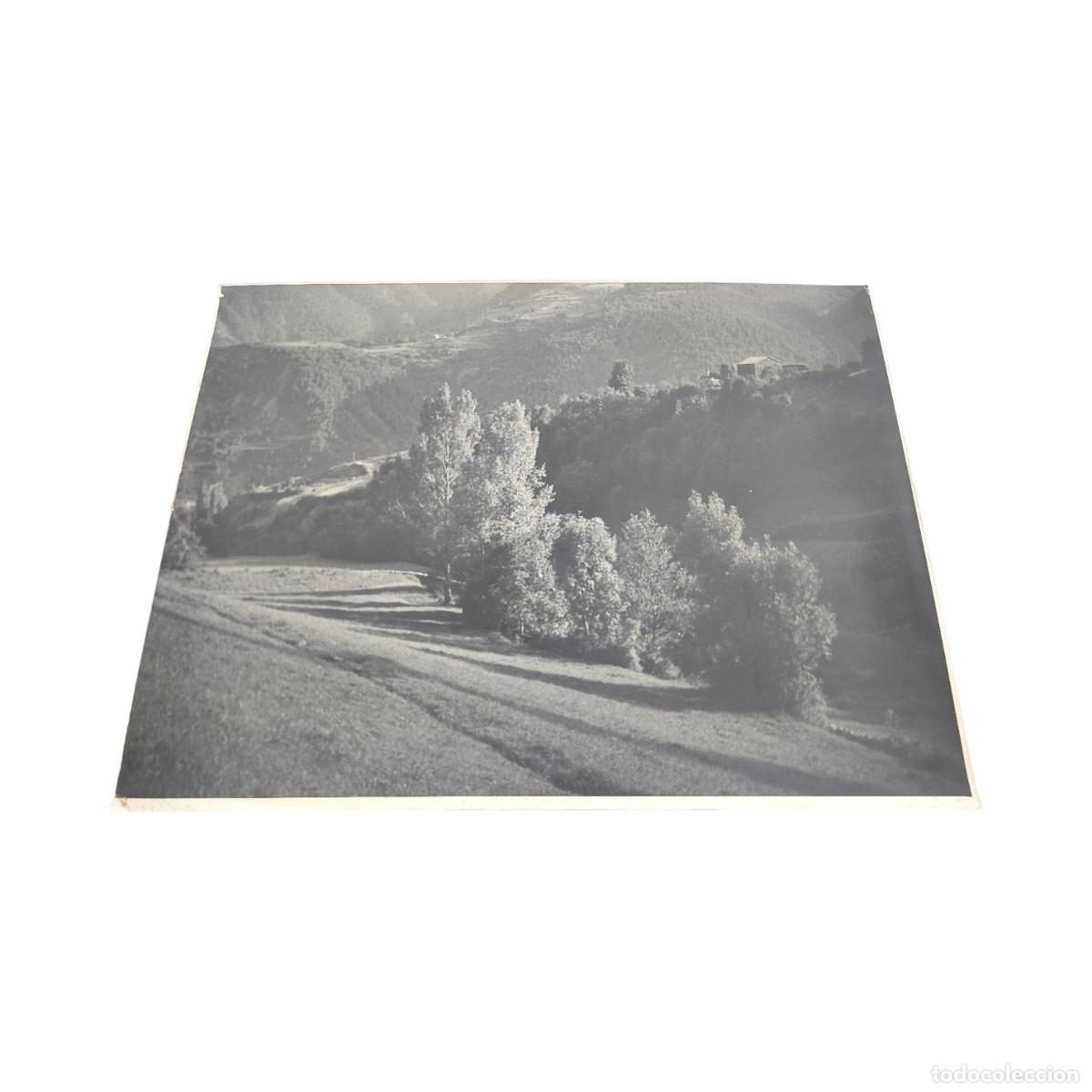Alte Fotografie: Foto Antigua. Paisaje de Monta&ntilde;a y Ladera Arbolada. Valle Rural. Gelatinobromuro. c. 1920. 40x30 cm
