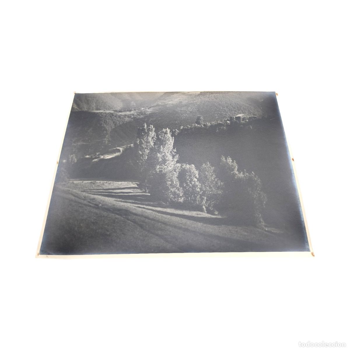 Fotograf&iacute;a antigua: 1920. Foto Antigua. Paisaje de Monta&ntilde;a y Ladera Arbolada. Valle Rural. Gelatinobromuro. 40x30 cm