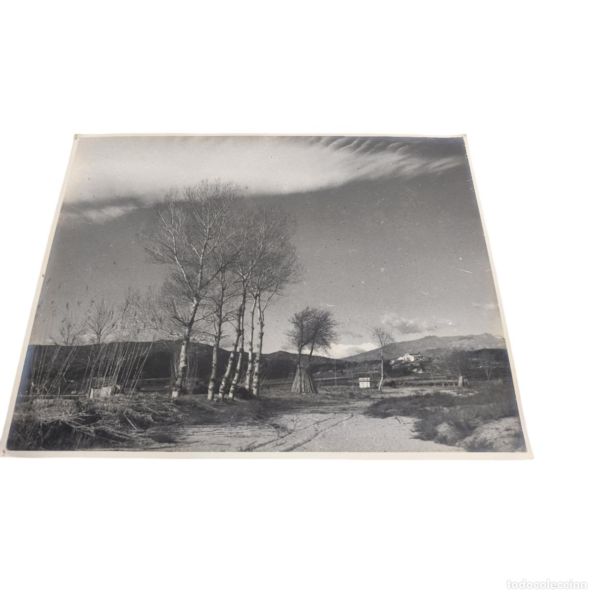 Fotograf&iacute;a antigua: 1920. Foto Antigua. Camino Rural con Chopos, Hacina y Sierra al Fondo. Gelatinobromuro. 40x30 cm