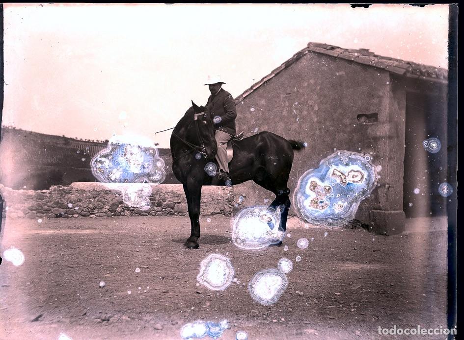 Fotograf&iacute;a antigua: HIPICA ANTIGUO NEGATIVO DE CRISTAL FORMATO 12 X 9 cm.